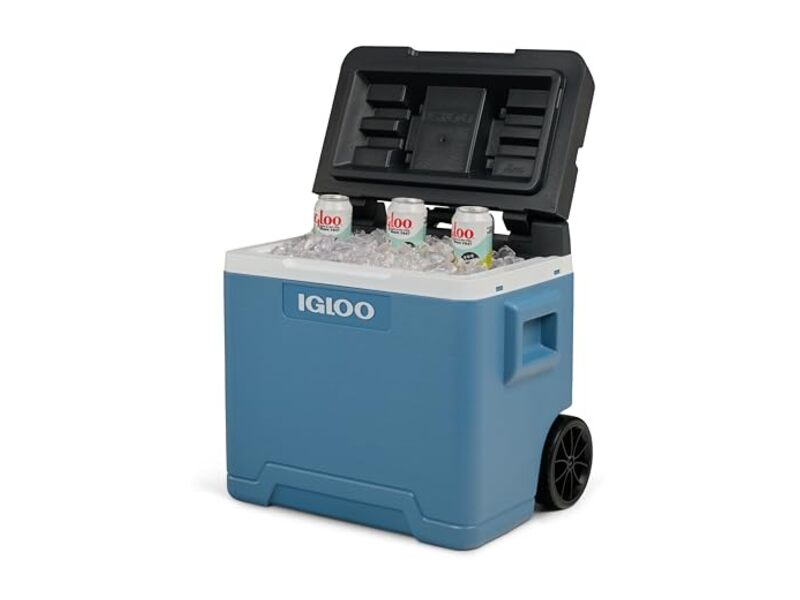 IGLOO IP42 Roller Glacière Passive 42L à Roulettes