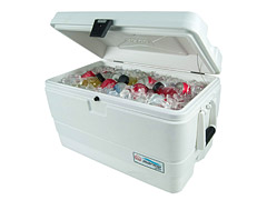 Igloo Marine 54