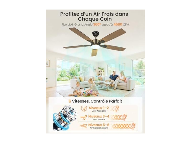Mefine 2 Couleurs Pales Réversibles Ventilateur de Plafond