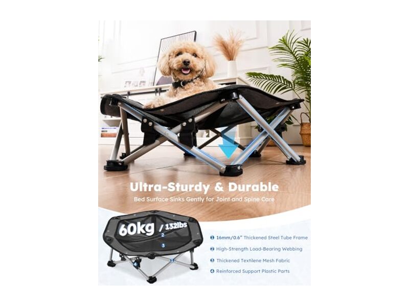 Pecute Lit Chien Surélevé Rafraîchissant Pliable
