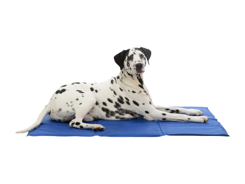 Trixie Cooling Mat for Dogs and Cats