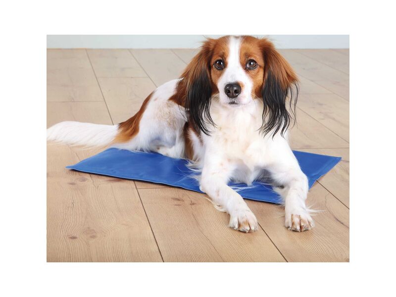 Trixie Cooling Mat Trixie Cooling Mat