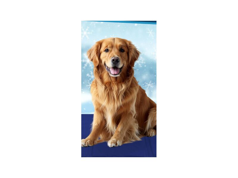 Veddelholzer Extra-Thick Gel Cooling Mat for Dogs