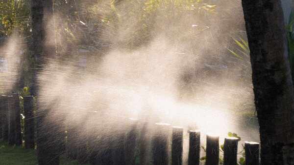 Brume fine rétroéclairée par le soleil couchant au-dessus d’une clôture en bois, dans un jardin plantaé de palmiers
